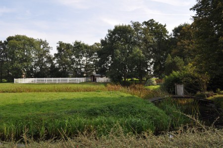 2 weilanden met paddock